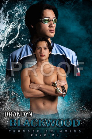 MVP Swimming Main Template