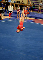 Friday level 9 gymnastics